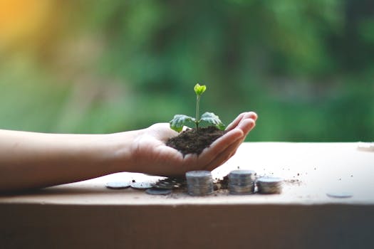 How sustainable investments can fit into your financial planning
